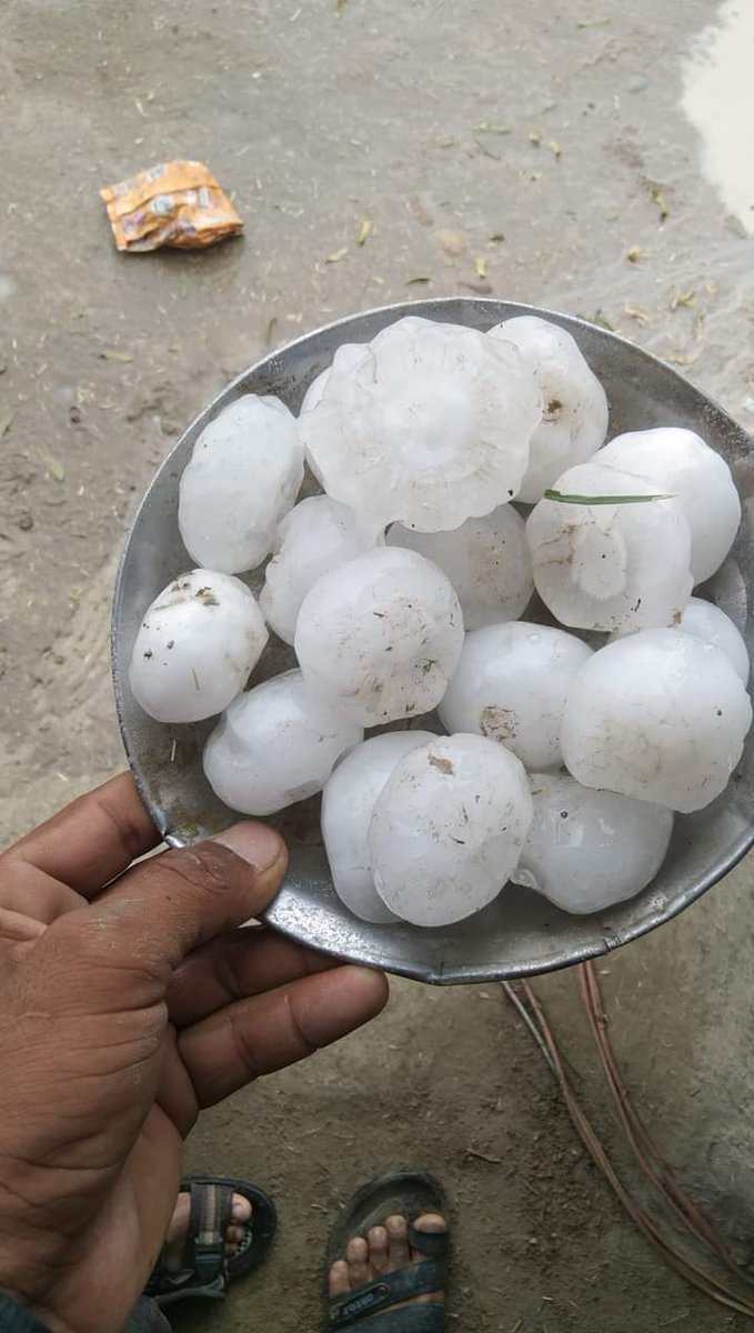 دادو ضلعي جي مختلف علائقن ۾ زوردار ھوا ۽ ڳڙي سان گڏ برسات

#Dadu #Rain