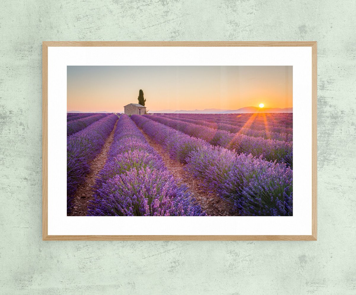 New one on #etsy: Scent of Purple. Provence, France. Wall Art, Digital Art Print, Instant Download etsy.me/3Waa2jQ #viola #arancione #paesaggioescenario #orizzontale #sunset #landscape #travel #print #digital
