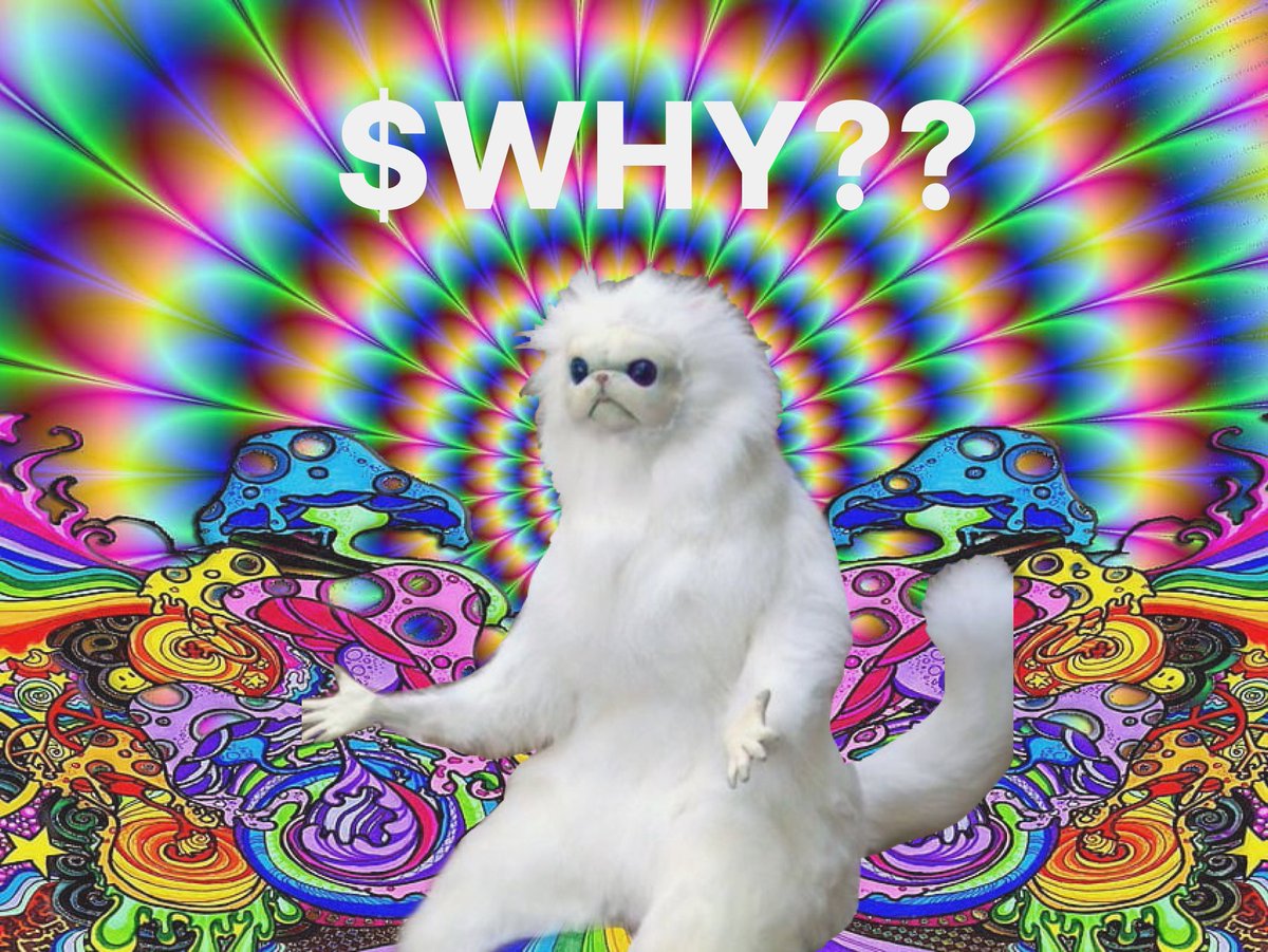 token_why's tweet photo. $Why?? plunge into the cryptoverse's depths? Chasing meaning or surrendering to illusion?

 In this enigmatic dance of gains and losses, are we truth seekers or mere captives of the adrenaline grip?

#Crypto #CryptoCommunity https://t.co/R8uAZ2nLqW
