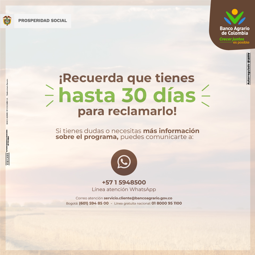 ProsperidadCol's tweet photo. Conoce  el paso a paso para el pago por ventanilla del @BancoAgrario o corresponsal  bancario para reclamar el incentivo de Tránsito #RentaCiudadana. 
Para más información visita https://t.co/QmTt5vNox1 https://t.co/y6jmWbbiML