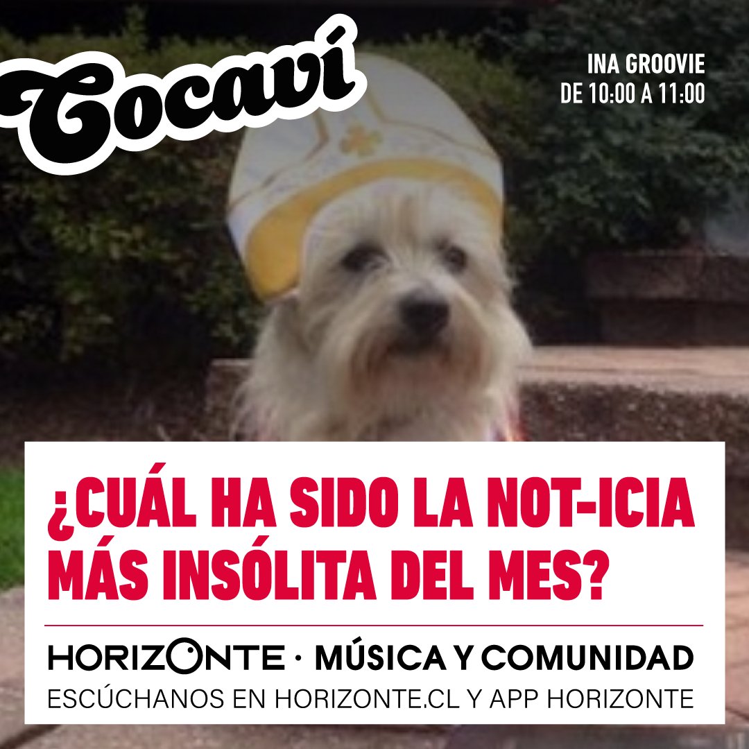 radiohorizonte's tweet photo. Alerta de #HolaBB: Para ti, ¿cuál ha sido la not-icia más insólita de lo que va de mes? 👀. Desde las 10hrs @inagroovie y @alvaroamar estarán revisando varias de ellas, así que súmate a #CocavíHorizonte por https://t.co/ur3VZqNxUd y la APP Horizonte 🥳. https://t.co/7l3WN85aFU