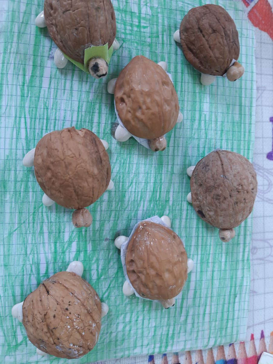SehitlikD's tweet photo. Okulumuzun 2/F Sınıf öğretmeni Özlem DAĞ'ın  düzenlediği  " ceviz , kaplumbağa ve nohuttan kaplumbağa etkinliği "  öğrencilerimiz tarafından çok beğenildi.🥰 Öğretmenimize teşekkür ediyoruz.

@Murat4Kucukali 
@Diyarbakirmem
@YenisehirMEM
@husamettin_atli
@HacBurak1 https://t.co/G1jRidRgIo