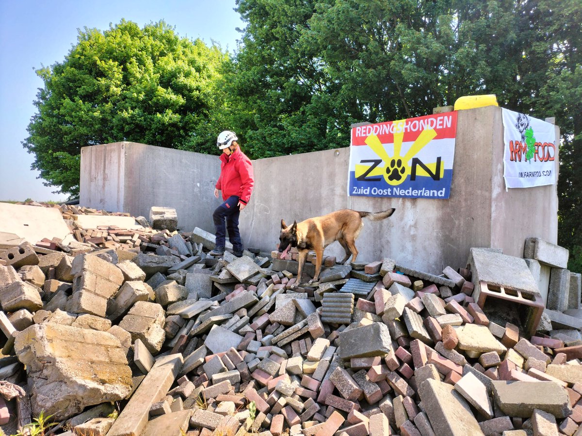 irodogs's tweet photo. Hardly a weekend goes by without an IRO Test. This time, numerous search and rescue dog teams 🐕🦺⛑ came to the Dutch city of Nijmegen to take part in the tests for Area and Rubble Search.
#IRODogs #SearchandRescue #AreaSearch #RubbleSearch
📷 Reddingshonden Vereniging ZON https://t.co/y0y9GhGi3L