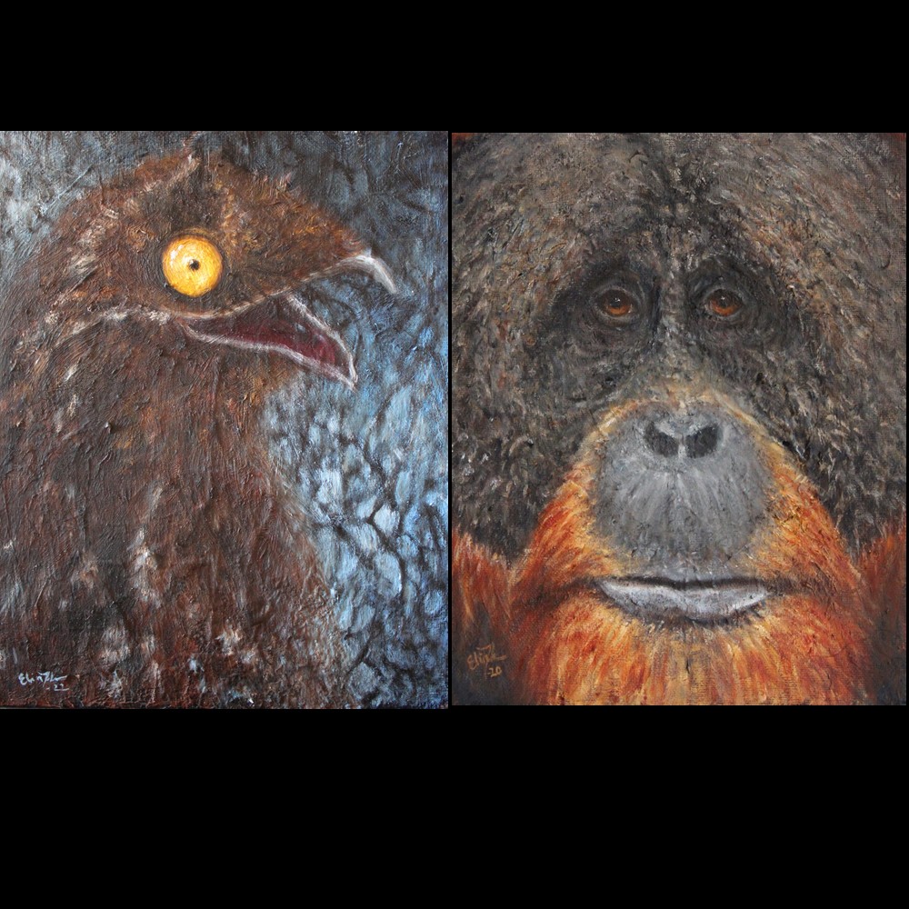 elinjohnsenart's tweet photo. Just added these two characters to my etsy shop.
Have a lovely day folks!
https://t.co/ySiinRzy6o

#rufouspotoo #potoo #orangutan #oilpaintings #artforsale #etsy #etsyshop #ArtistOnTwitter #independentartist #art #modernwildlifeart https://t.co/bgvY90jd55