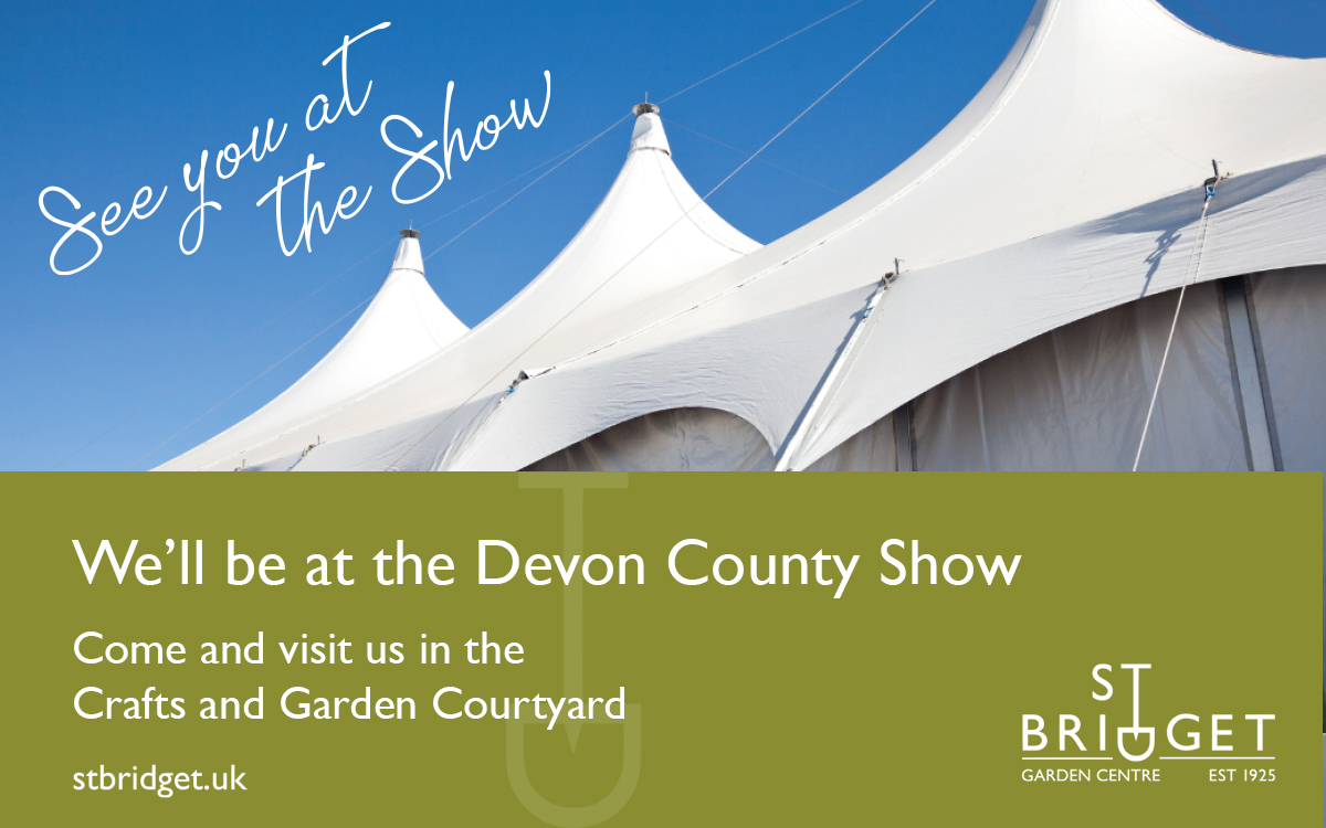 StBridgetExeter's tweet photo. The St Bridget Nursery and Plant Team are putting on a show! We’re exhibiting at the #DevonCountyShow this week. We look forward to seeing you there!
Our Garden Centre is open all week 9-5 Monday to Saturday and 10-4 on Sunday. Our Café will be closed on show days. https://t.co/UMisqgULpj