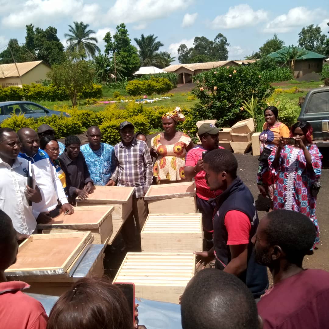 RECODH/CNHRO tweet media