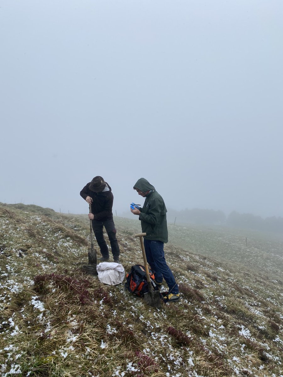 julesibk's tweet photo. It‘s still winter above the treeline, but nevertheless we did our first #AlpSoil_Lab sampling of the year to see how abandonment affects #soil #invertebrates, especially 🪱. With ⁦@m_steinwandter⁩ and ⁦@LuisBorruso⁩ https://t.co/NHfkZ9oB8U
