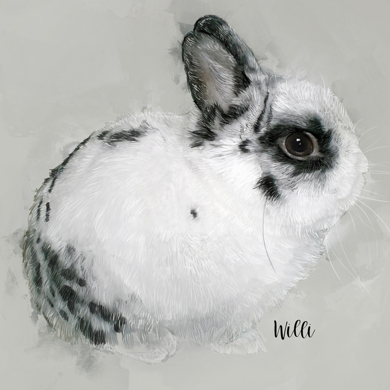 Custom Pet Portrait

#rabbit #rabbitportrait #rabbitart #rabbitartwork #customrabbitart #customrabbitartwork #personalizedrabbitart #petart #petartwork #animalart #animalartwork #petportrait #rabbitartist #rabbitlover #pet