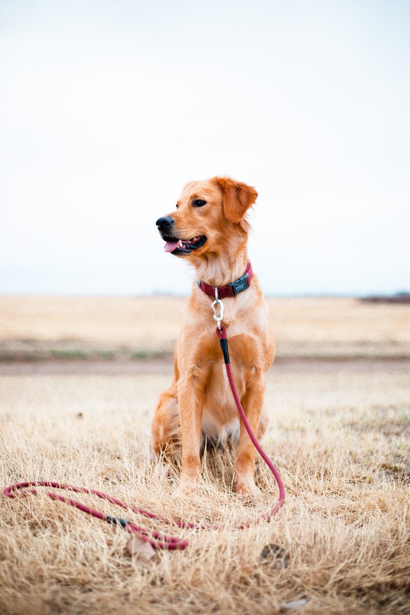 My most beautiful girl 😍