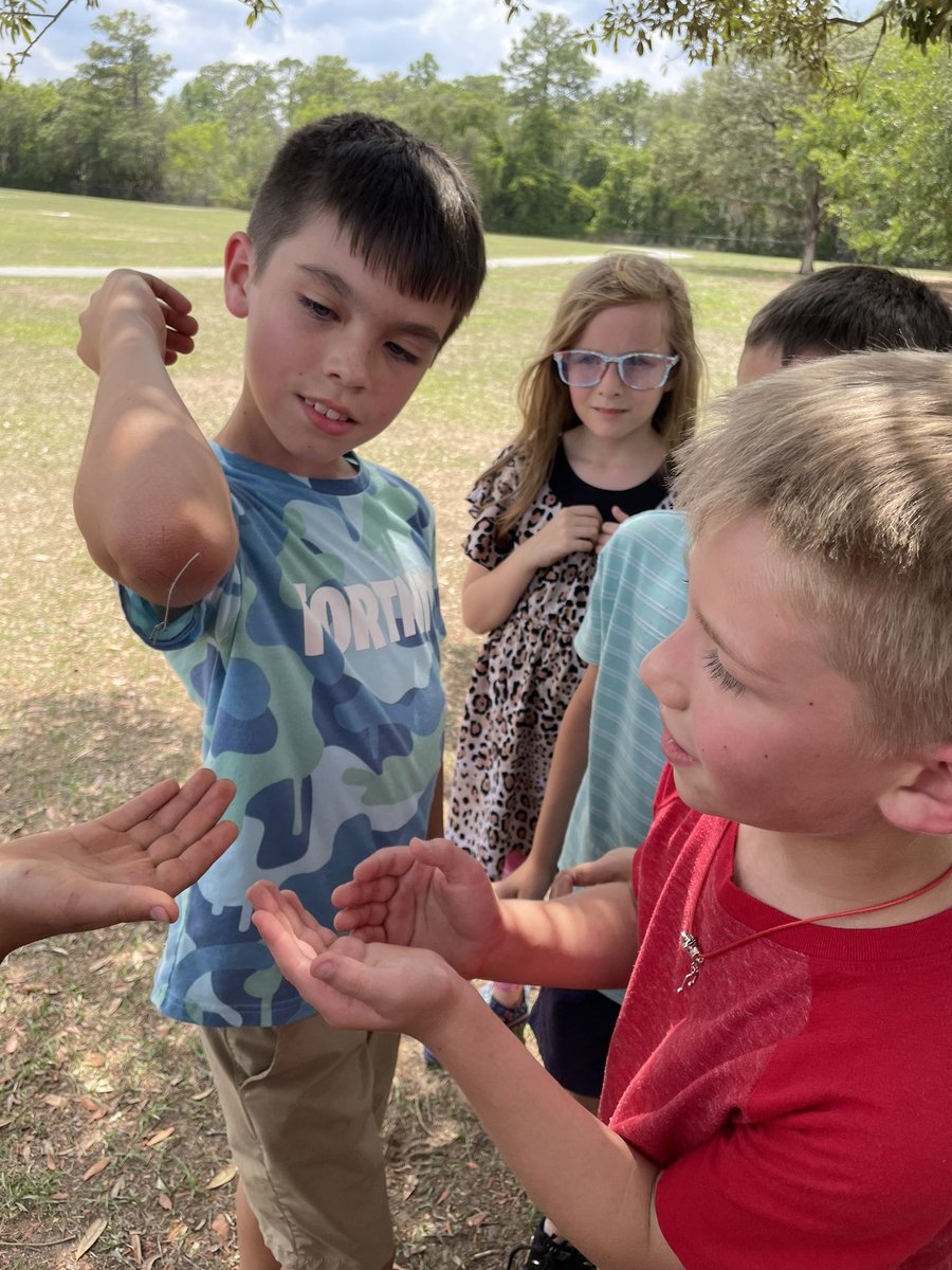 Ariel McNally tweet media