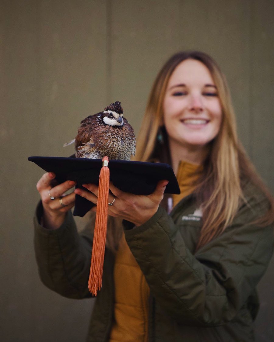 OLappin's tweet image. Didn't fly back to Mississippi to walk at graduation but today I get to call myself an official Master of Science 🐾🐤