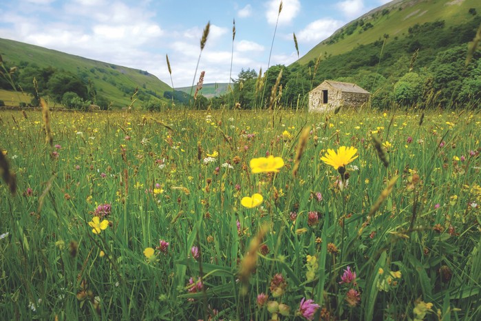 CountryfileMag's tweet image. This Mental Health Awareness Week, why not reconnect to nature and move your body by walking in a beautiful and calming landscape. buff.ly/3MDnmY2 #MentalhealthAwarenessweek