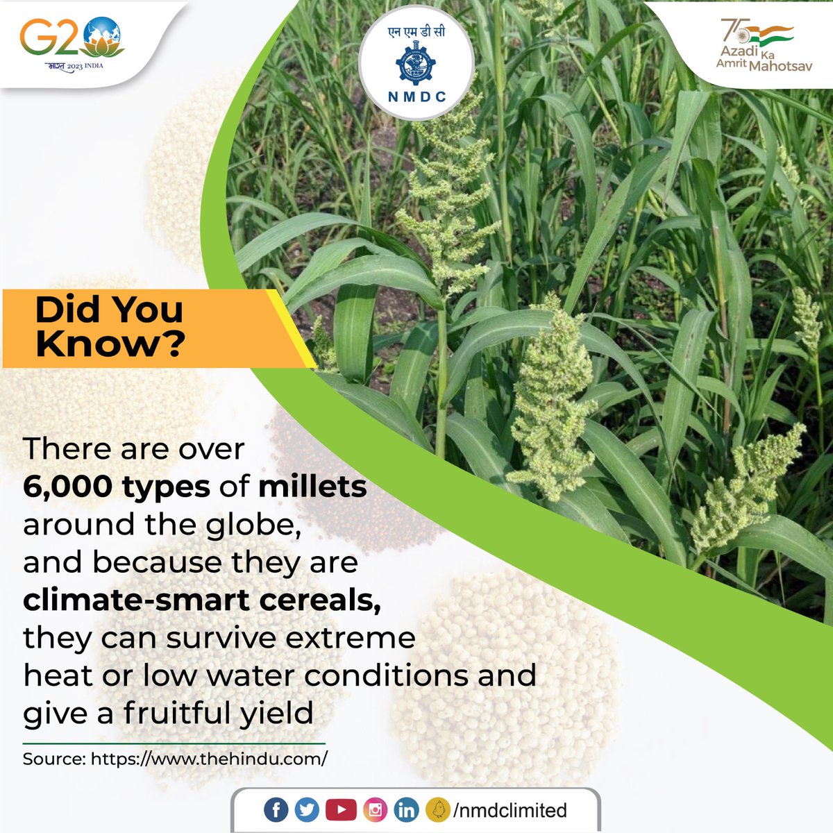 Millets provide a vital source of energy & protein to over a billion people who live in dry and semi-arid areas. They are easy to procure and nutrition-rich, which makes them a genuine superfood.

#NMDC #Milletfacts #MilletsofIndia #InternationalYearOfMillets