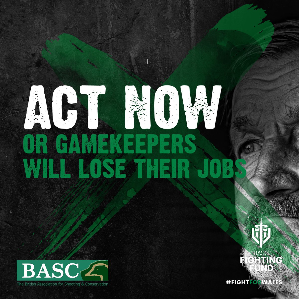 BASCnews's tweet photo. There is still time to have a say and register your objection to restrictions on gamebird releasing in Wales...

This is a clear attack on shooting, and what happens in Wales could happen anywhere else, too!

Click here: https://t.co/wN9HK3aJwt https://t.co/jp6hx37Ko1