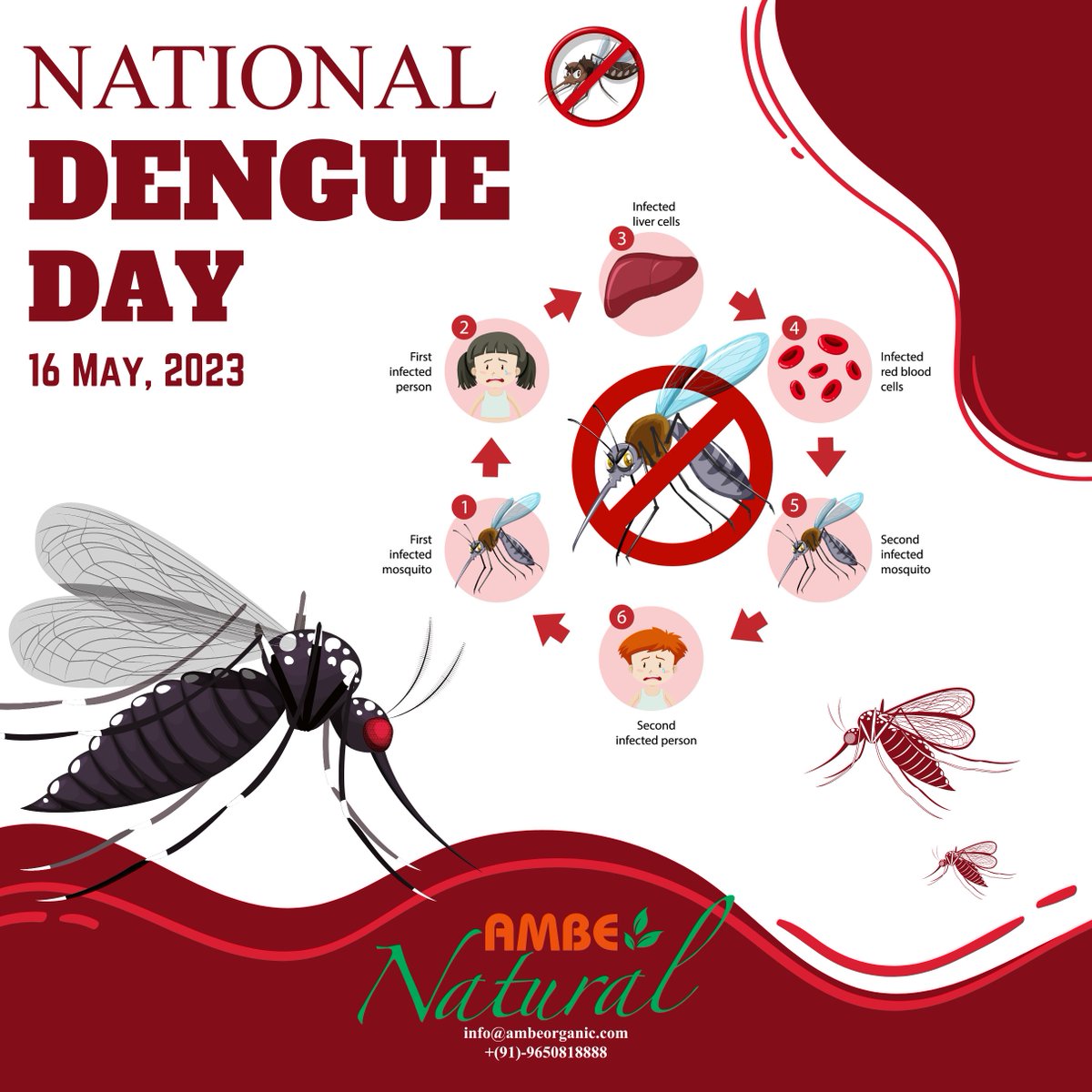 ambeorganic's tweet photo. Join us on #NationalDengueDay to fight dengue together!
Let's raise awareness, take preventive measures, and protect our communities.
Together, we can eradicate this disease! 🦟💪🌿

#16thMay #ambenatural #StopDengue #PreventionMatters #CommunityHealth #FightDengue https://t.co/EJfV7RUAml