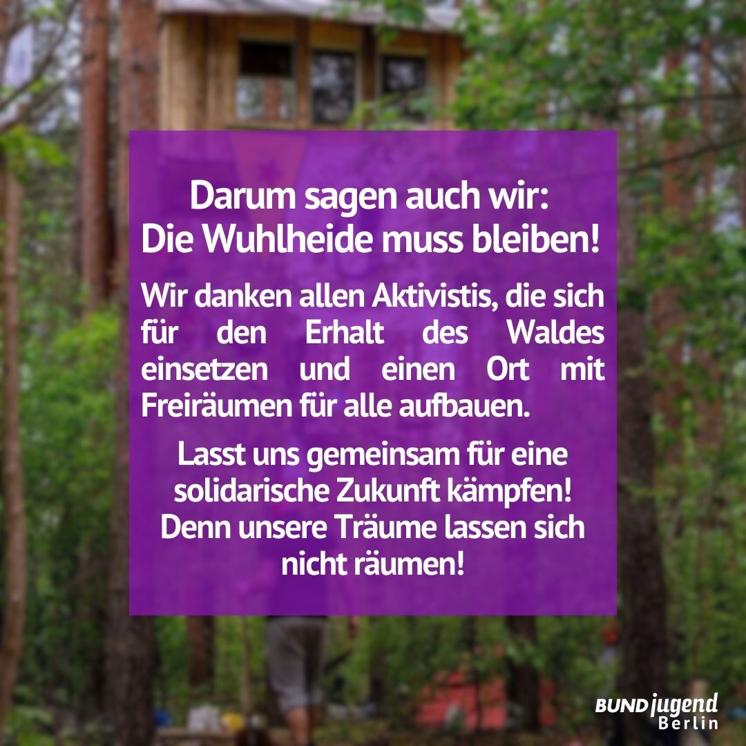 Solierklärung der BUNDjugend Berlin mit der Waldbesetzung in der Wuhlheide.

#wuhlibleibt #waldstattasphalt #wuhlheide