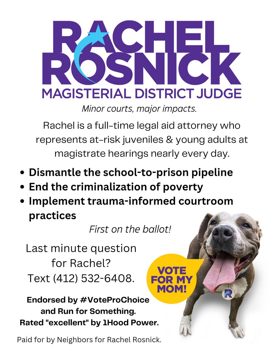 rachel4mdj's tweet photo. This would have been our polling place flyer if our order would have gone through last night! 🤣💜✨

Polls are open from 7am to 8pm. ⭐💙 Please vote.

#rachel4mdj #teamdoourbest #minorcourtsmajorimpacts https://t.co/VluwPUai4y