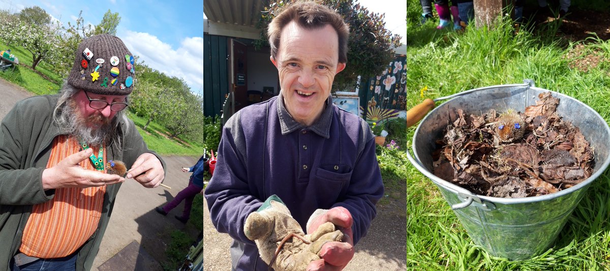 Saffron Acres tweet media