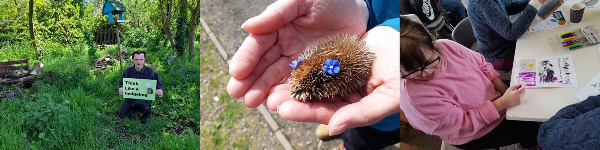 Saffron Acres tweet media