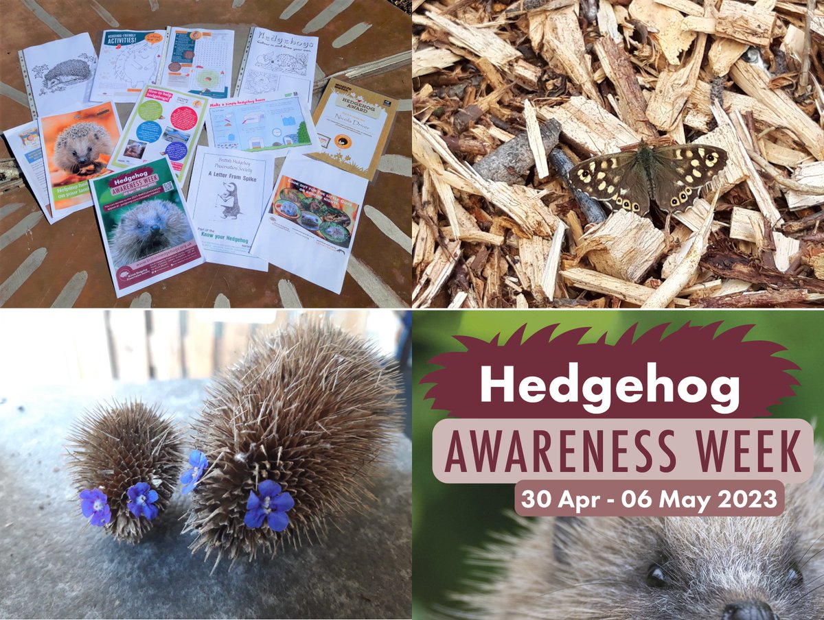 Saffron Acres tweet media