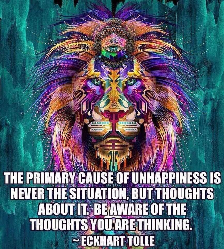 CarmelleMKemp's tweet image. Both #ayahuasca and #sanpedro have the uncanny ability to #rewireyourbrain and old outdated thought patterns that no longer serve you.
#thoughtsbecomethings