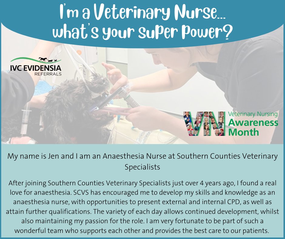 I'm a Veterinary Nurse...what's your super power? Meet Jen, an Anaesthesia Nurse at Southern Counties Veterinary Specialists who is one of our many discipline specific referral nurses. #VNAM2023 #WhatVetNursesDo #VeterinaryCareers #IVCEvidensiaReferrals