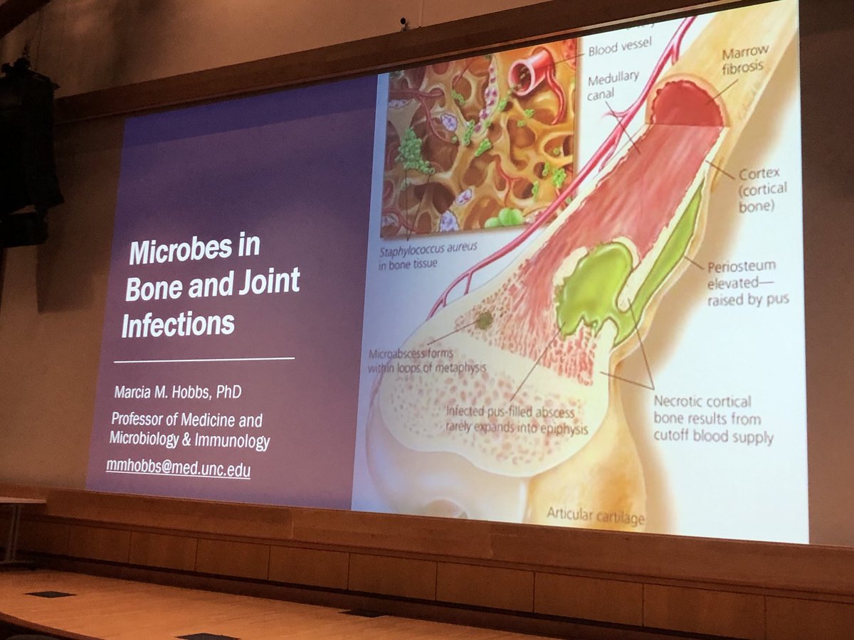 Kurt Gilliland, PhD (@kogillil) on Twitter photo Dr. Marcia Hobbs at University of North Carolina School of Medicine gave her LAST LECTURE with a fantastic crowd of students and faculty! We wish her the best in retirement! <a href="/bob_esther/">Bob Esther</a> #unc <a href="/UNC_SOM/">UNC School of Medicine</a> <a href="/anacfelix/">ana clara</a> <a href="/WesleyBurksMD/">Wesley Burks</a> <a href="/AliceChuangMD/">Alice Chuang MD, MEd</a> Dr. Marcia Hobbs at University of North Carolina School of Medicine gave her LAST LECTURE with a fantastic crowd of students and faculty! We wish her the best in retirement! <a href="/bob_esther/">Bob Esther</a> #unc <a href="/UNC_SOM/">UNC School of Medicine</a> <a href="/anacfelix/">ana clara</a> <a href="/WesleyBurksMD/">Wesley Burks</a> <a href="/AliceChuangMD/">Alice Chuang MD, MEd</a>