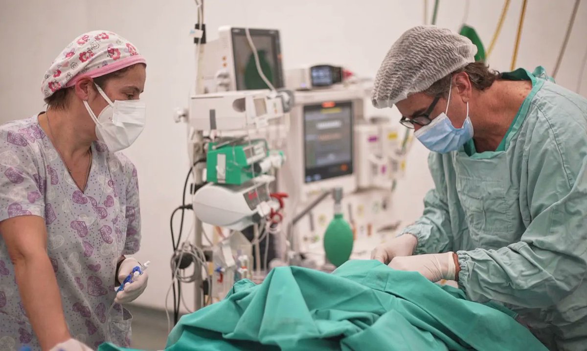 FS_AUDIOVISUAL's tweet photo. Capturas de un registro Audiovisual de una cirugía a corazón abierto de un bebé en el Hospital HIEMI Materno Infantil año 2021.

#hiemi #maternoinfantil #hospitalespecializado #Ministerio #cirugía #foto #captura #registro #salud https://t.co/5bz9EqcOvj
