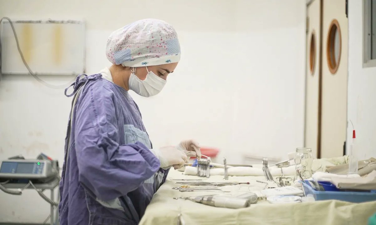 FS_AUDIOVISUAL's tweet photo. Capturas de un registro Audiovisual de una cirugía a corazón abierto de un bebé en el Hospital HIEMI Materno Infantil año 2021.

#hiemi #maternoinfantil #hospitalespecializado #Ministerio #cirugía #foto #captura #registro #salud https://t.co/5bz9EqcOvj