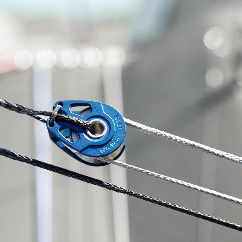 Allen Sailing tweet media