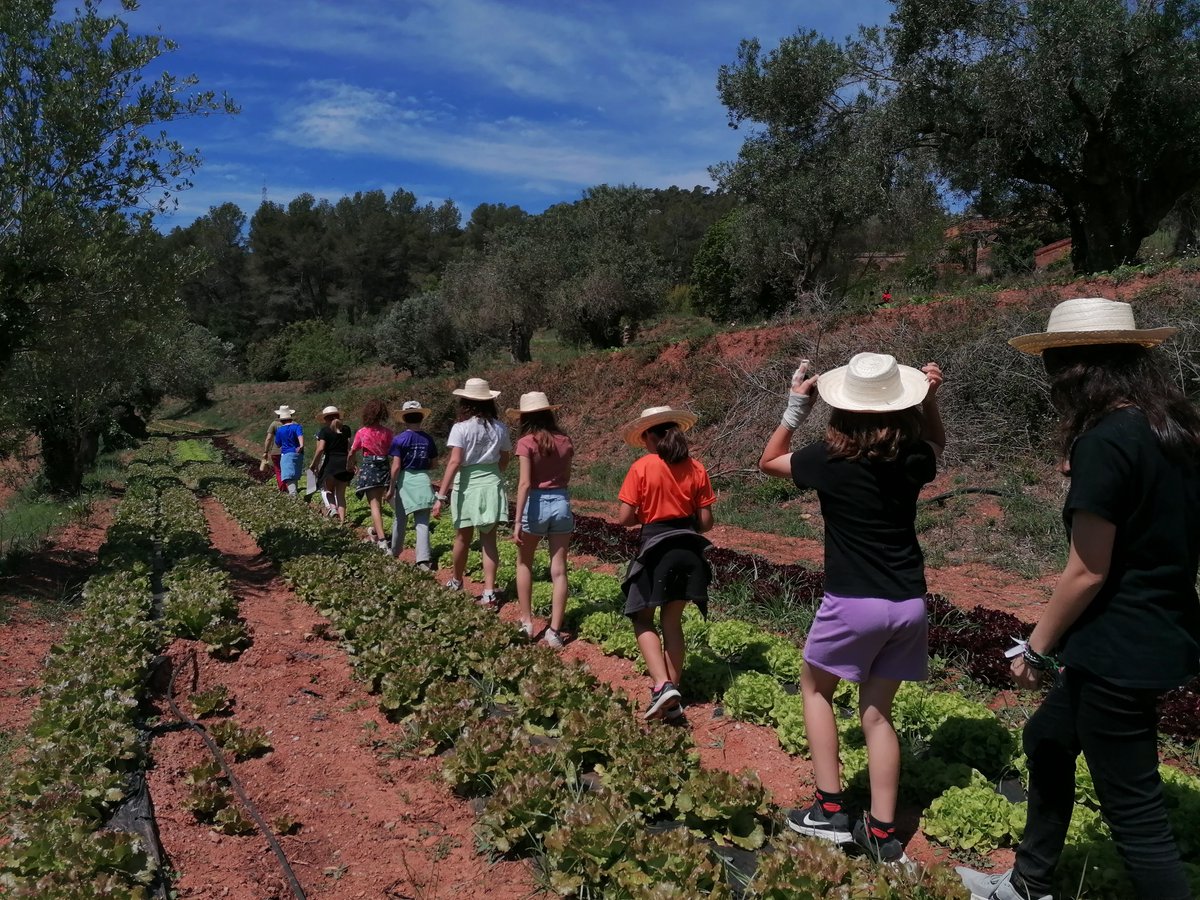 Els i les GTK de #JEGràcia van rebre una formació sobre la prevenció d'incendis a Collserola, la importància de recuperar els conreus i la ramaderia com principal tallafoc. Gràcies a @ortigamonmany per convidar-nos i formar-nos. Ara els GTK's faran difusió a les seves classes.