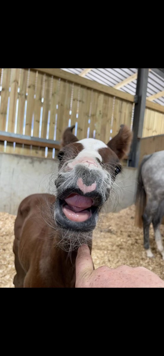 Baby Pat with a heart shaped nose and a full on beard at age 3 days !