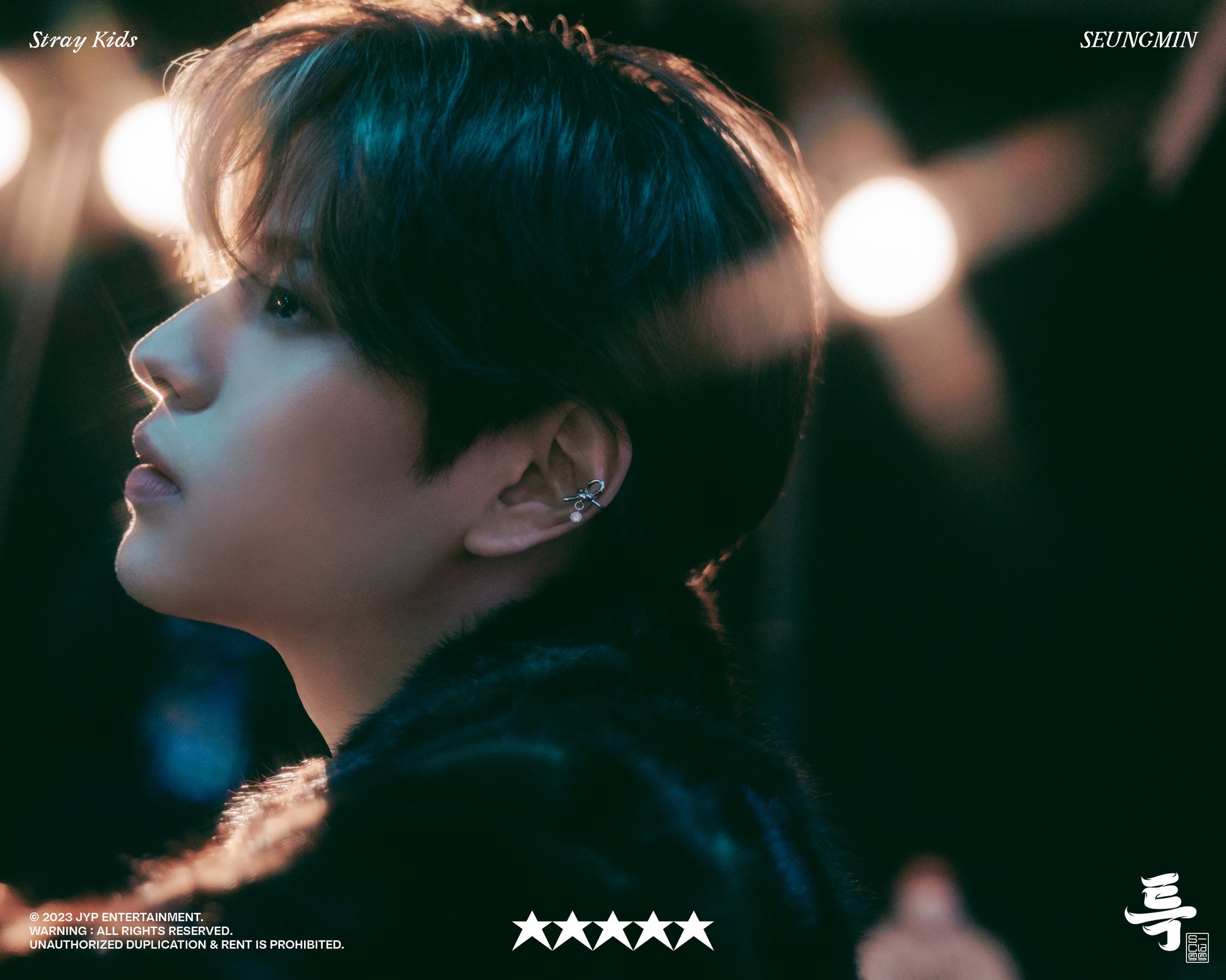 straykids スンミン 5star mmt マミュテ Amazon.co.jp: straykids スンミン 5star mmt my music taste