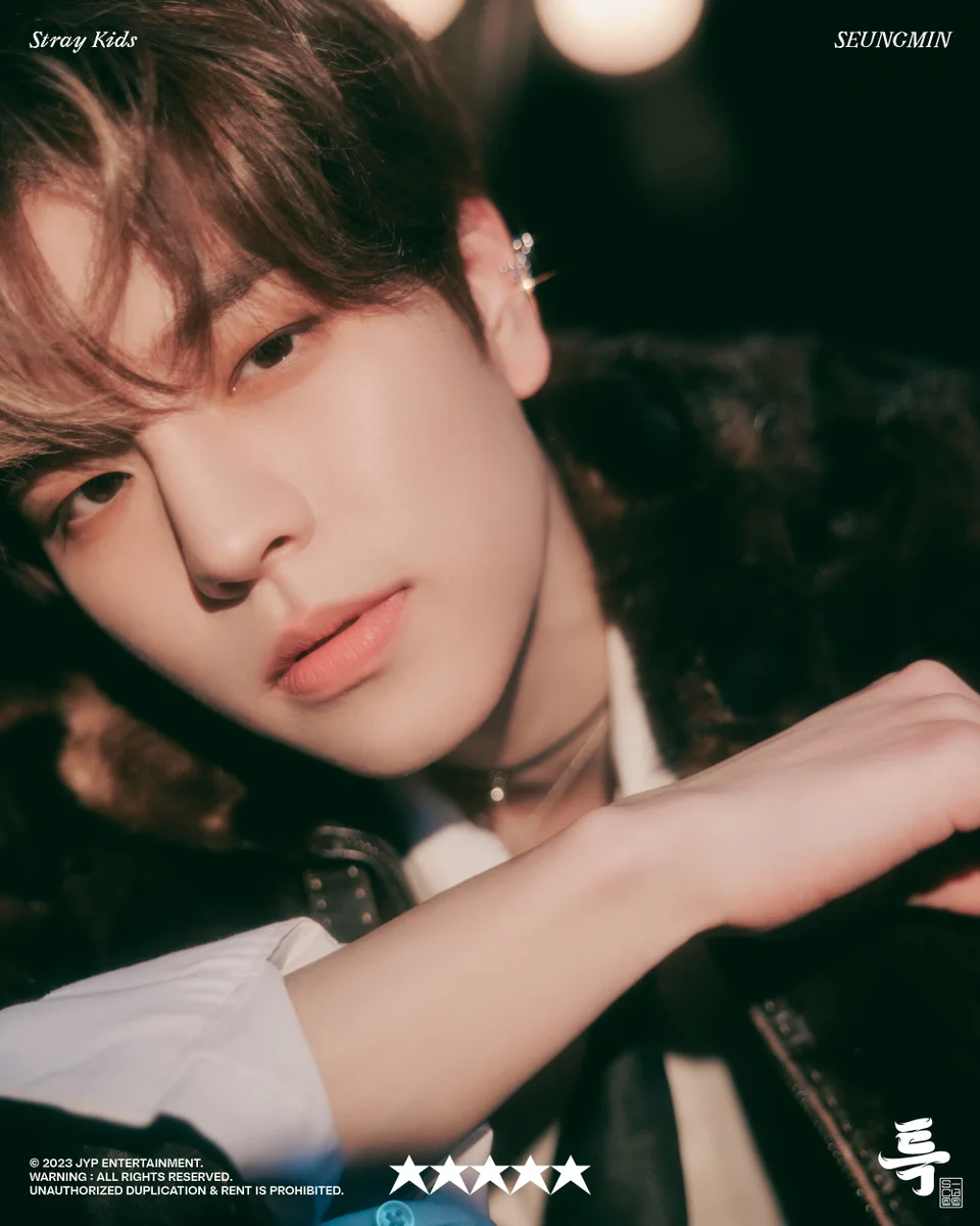 Stray Kids Japan Official on X: 