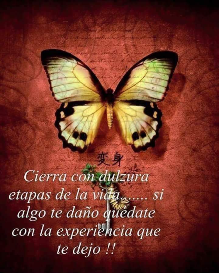 Ele_Casti's tweet photo. https://t.co/RevEAy1hlD