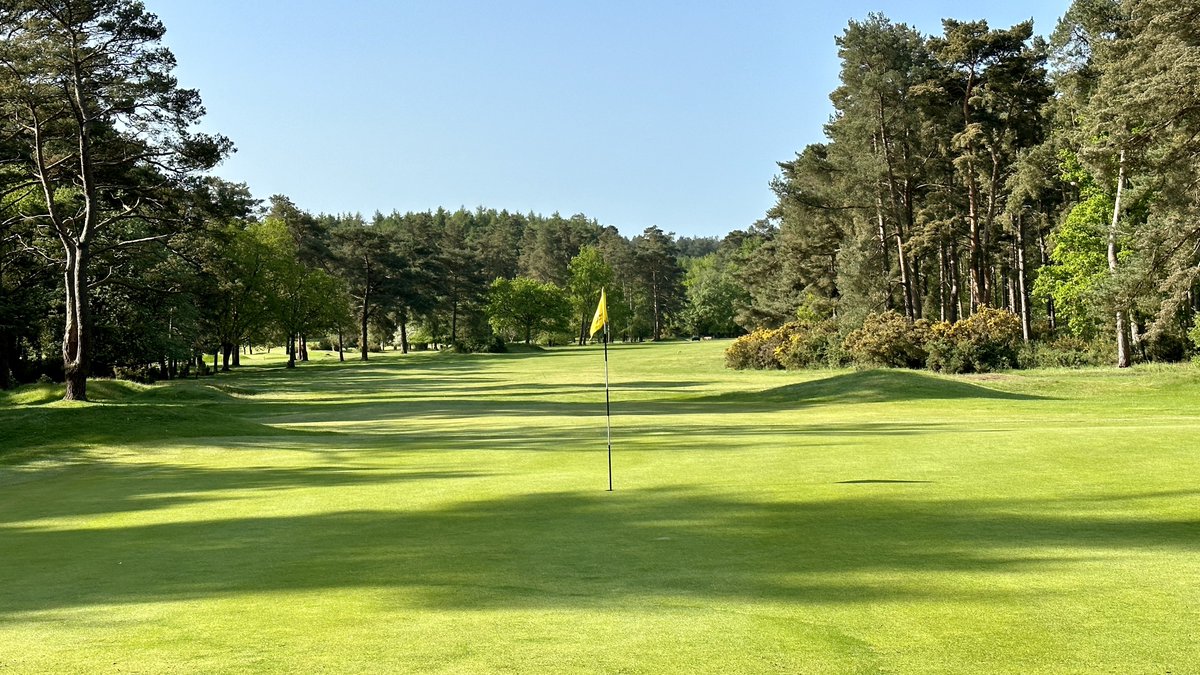 Surfaces looking good in the sun this week