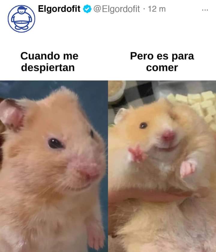 PekisKoskis's tweet photo. Me representa ✌
@vaquitadlbarrio @Paco_JS
#SiempreChubbyJamásInChubby
#TeamChubby #TeamEsponjositos
#Chubby4Ever
#ClubDelElástico https://t.co/BEu908kdew