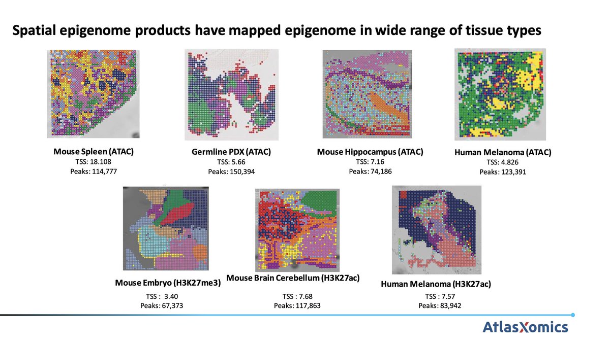 Our spatial epigenome products have successfully mapped the epigenomes of many distinct tissue types. Learn more about our technology and its applications on our website bit.ly/3nZIKjF #SpatialGenomics #Epigenetics