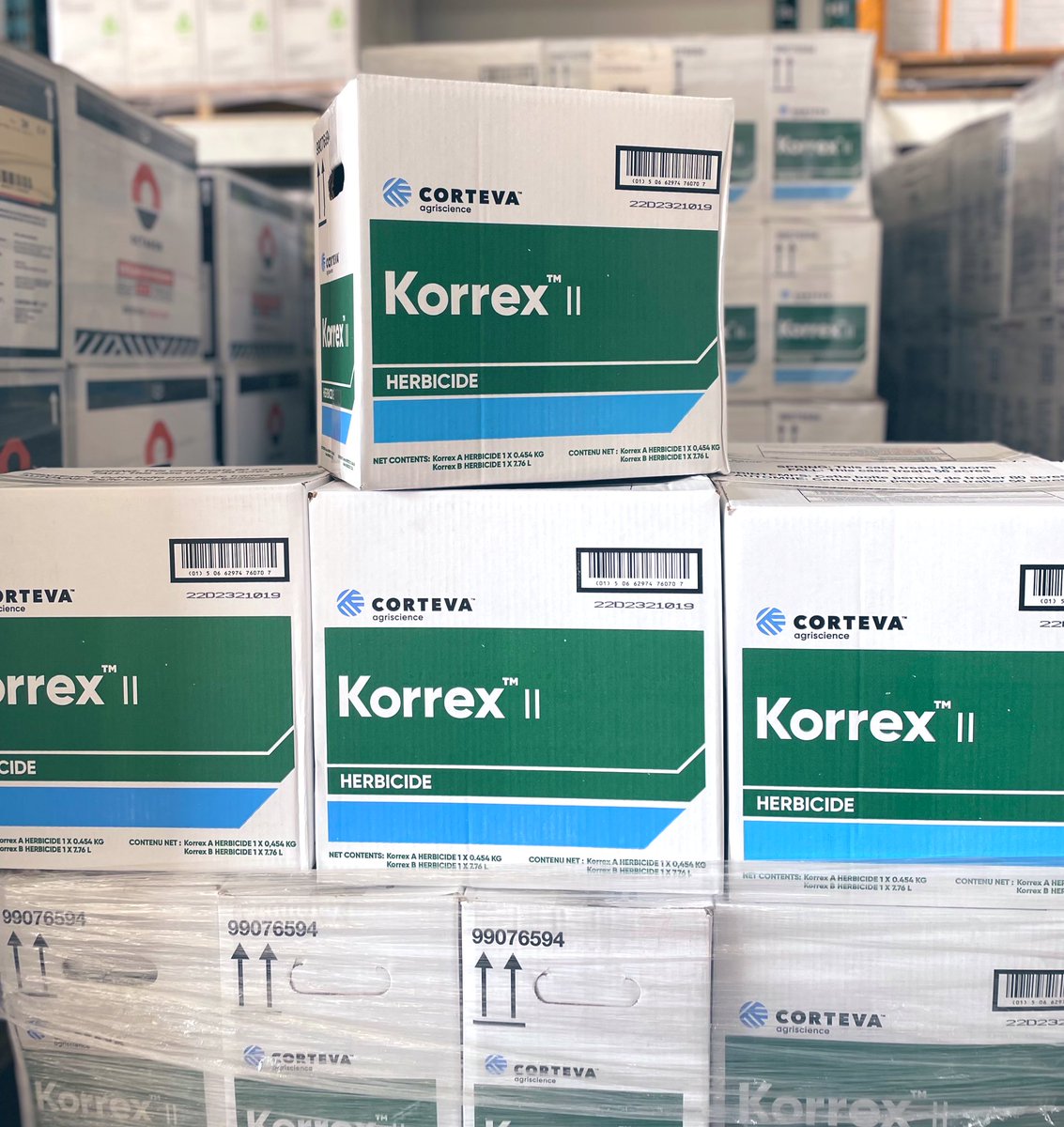 #ProductOfTheWeek

Korrex II, Gr. 2 &amp; 4 <a href="/corteva/">Corteva Agriscience</a> 
Pre-seed/Pre-emergence 

Registered Crops 🌾 Oats, Barley, Wheat 

Weeds 🚫 kochia, dandelion, stinkweed, flixweed, wild buckwheat, narrow-leaves hawk’s beard &amp; MORE 

Questions? Call the office at 1-306-452-3307 
#Plant23 #SaskAg