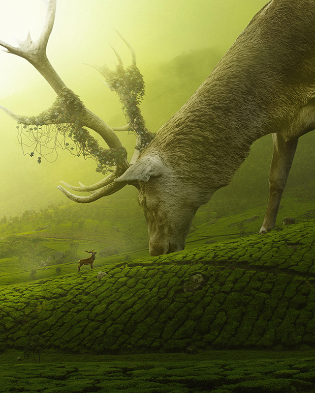 🌱 Attention all UFCG NFT holders!! On Friday, 19th of May at 11am UTC - we will be taking a snapshot of your wallet addresses for the upcoming "Morning Encounter" art drop by the amazing <a href="/TedsLittleDream/">TedsLittleDream</a>.🎨🌱 #Art #Chia