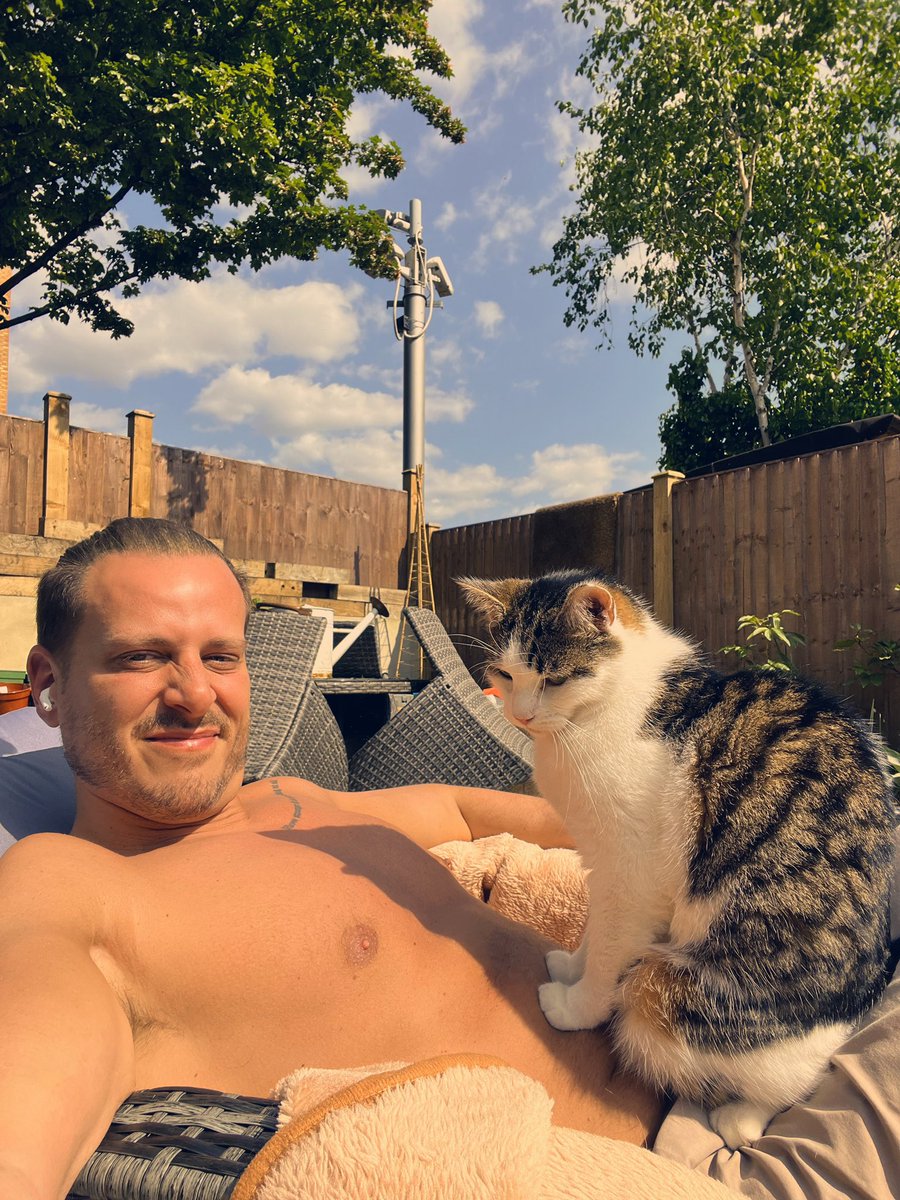Ben Lovell On Twitter How To Explain The Cat shaped Tan Lines On My Belly 