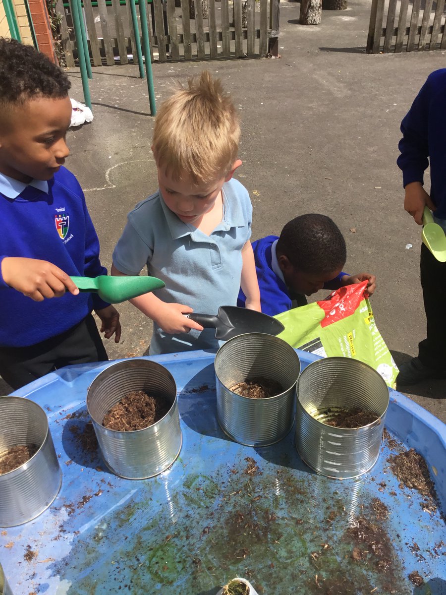 SchoolTrelai's tweet photo. Reception being brave planting Jackโs left over magic beans. #tpsscience We used T4W actions and instruction words. #tpsliteracy https://t.co/N8HXVEGV0V