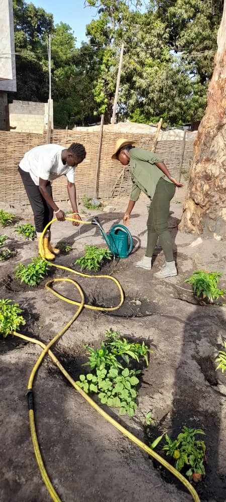 diack_amy's tweet photo. #girlpower Ensemble, pronons avec fierté l'autonomisation des femmes et des filles pour un Sénégal meilleur.#entrepreneuriat #onufemmes #Jeuf #LetsGoToWork #Yalybadiane #Unicef #sylviaDanilov #planInternationalSenegal #aichamanga #amychBarkham #thioneNiang #Revocap #Gahel https://t.co/PSw2zJ5Lp9