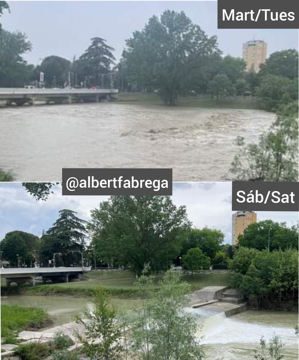 Albert Fabrega tweet media