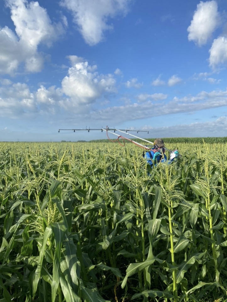 Julien Beuzelin (@julienbeuzelin) on Twitter photo The search for pyrethroid alternatives for corn silk fly management is on-going <a href="/EvergladesREC/">UF IFAS Everglades REC - Belle Glade</a> #UFBugs The search for pyrethroid alternatives for corn silk fly management is on-going <a href="/EvergladesREC/">UF IFAS Everglades REC - Belle Glade</a> #UFBugs