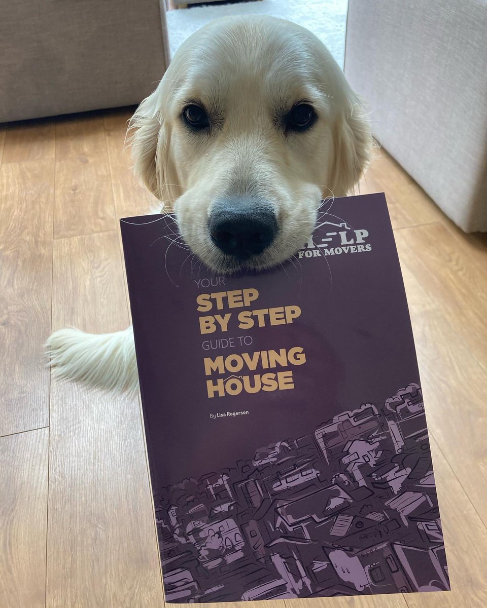 HelpForMovers's tweet image. How gorgeous is Alfie!! He lives with lovely #ProMoveRelocation based in #Northamptonshire 

Reminding dad (Nick) to take the #MovingGuides to pass on to his clients, to help them prepare for #Moving Day. 
#goldenretriever #goodboy 

helpformovers.uk
