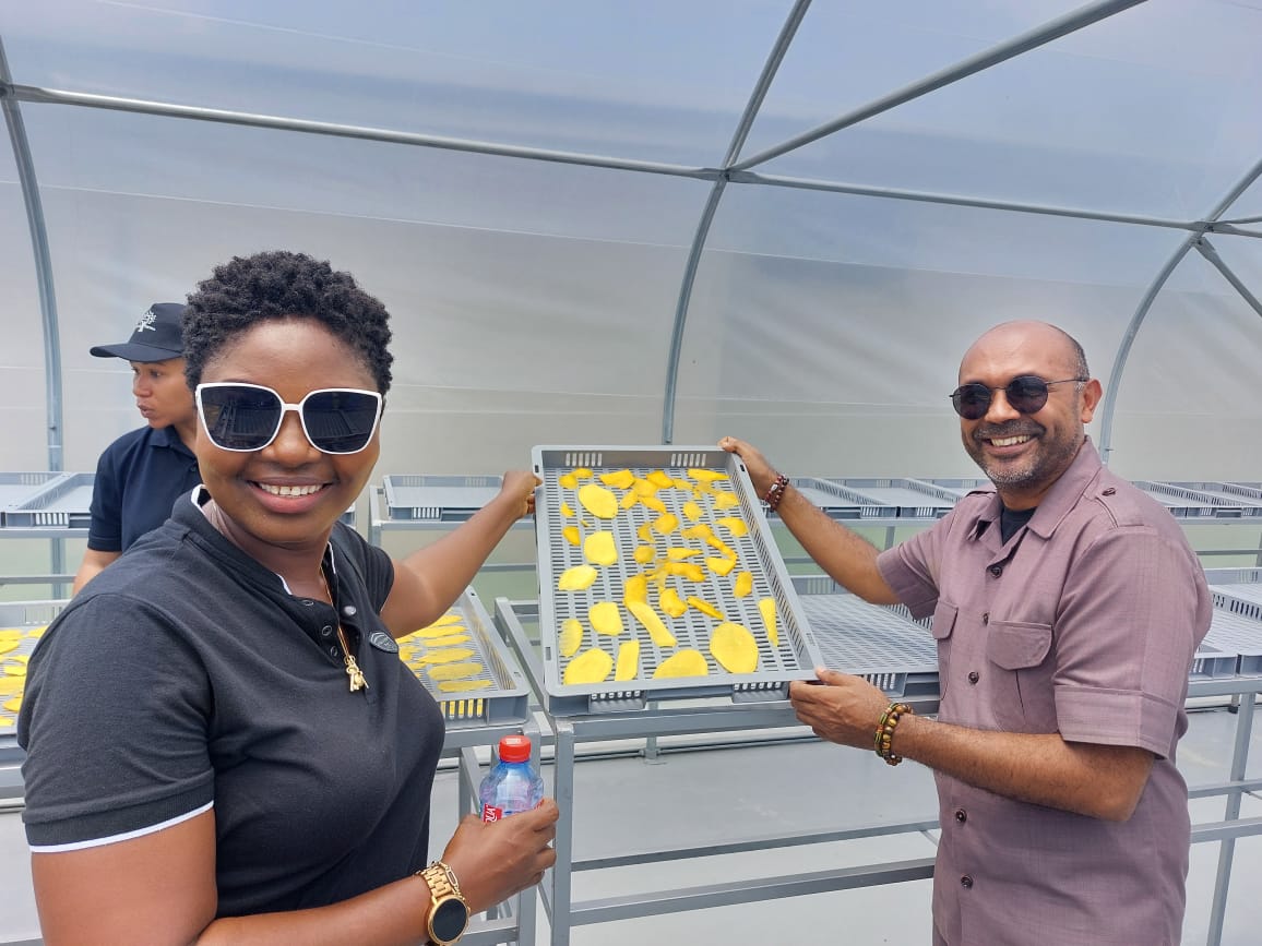 IrchadR's tweet photo. Do you like mangoes ? Together with @GermanAmbGhana @JaAniambossou and Amb Tamas Fehèr (Hungary), we spent a full day learning about mangoe industry from seddling, to processing, to exports 
EU funded @WACOMPGhana is reinforcing the #skills of young entrepreneurs
#GlobalGateway https://t.co/NpV9kT2p4N