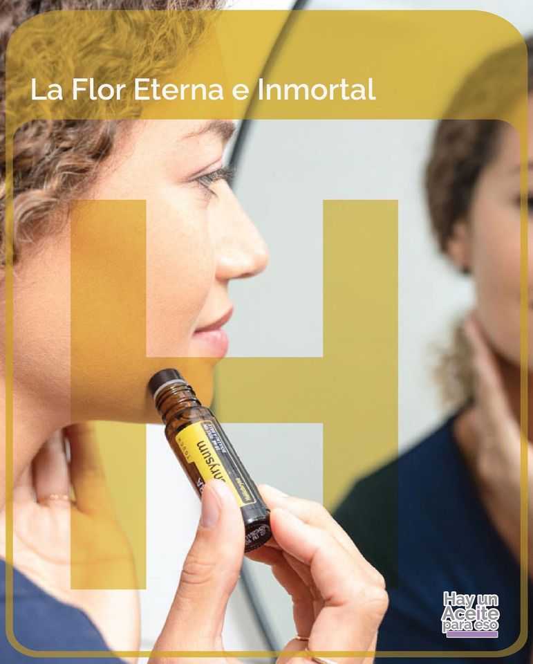 essentialpanama tweet media