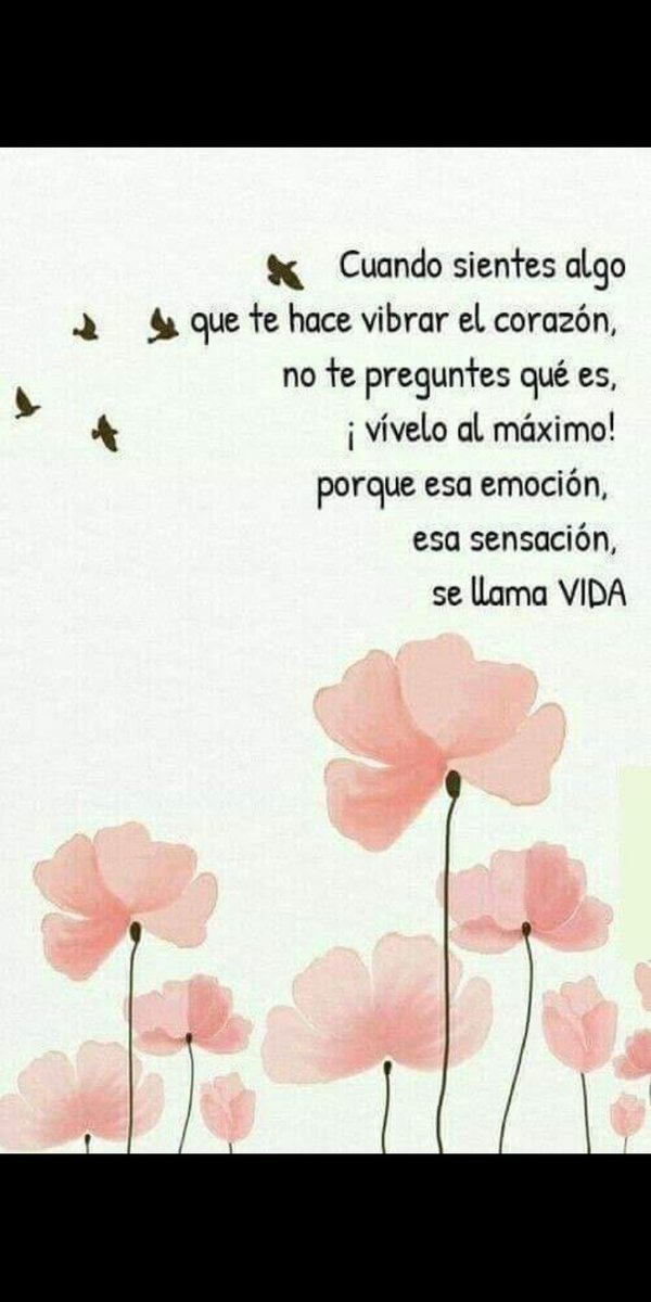 Amelia Trejo (@amelia_trejomtz) on Twitter photo 