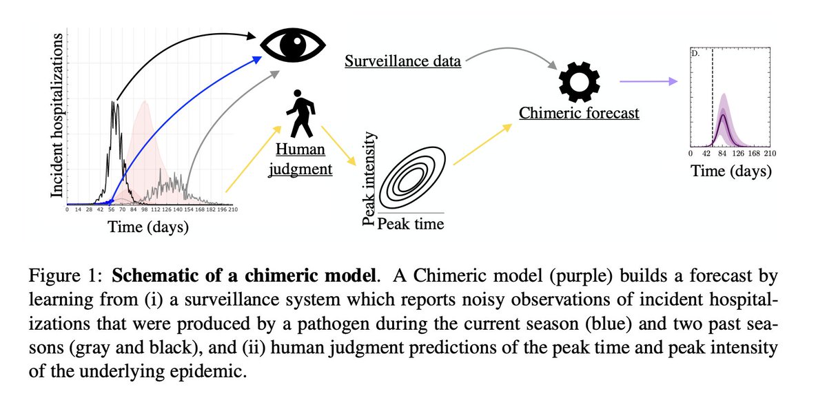 Vermont Complex Systems Institute @ UVM (@uvmcomplexity) on Twitter photo "Chimeric Forecasting: leveraging human judgment to1 improve forecasts of infectious disease"
New preprint from alum @tomcm39 & team
osf.io/dgb4y "Chimeric Forecasting: leveraging human judgment to1 improve forecasts of infectious disease"
New preprint from alum @tomcm39 & team
osf.io/dgb4y